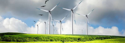 Windpark auf einer Wiese im ländlichen Raum