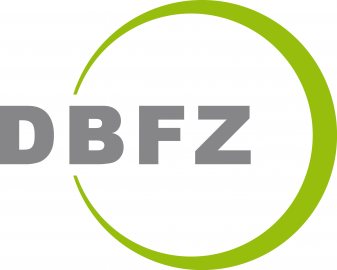Logo DBFZ