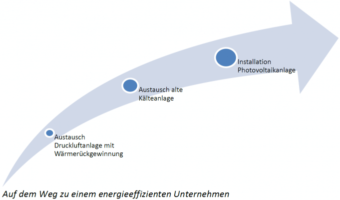 Auf dem Weg zum energieeffizienten Unternehmen Schritte zum energieeffizienten Unternehmen