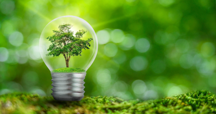 Glühbirne mit Baum vor grünem Hintergrund