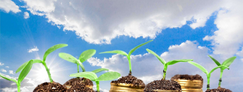 Finanzielle Vorteile mit Maßnahmen zur Energieeffizienz