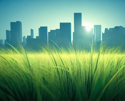 Grüne Stadt: Energieberatung für Unternehmen Grüne Stadt