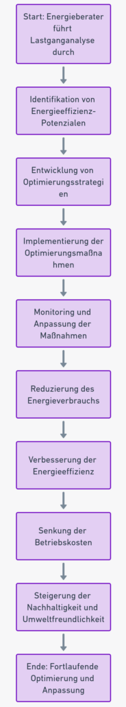 Ablauf einer Lastganganalyse Ablauf einer Lastganganalyse