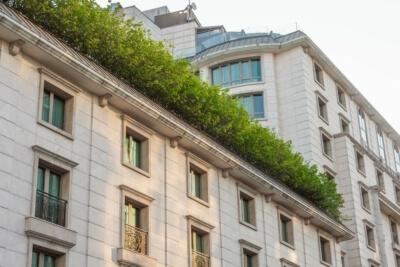 Begrünte Dachfläche eines energieeffizienten Gebäudes im Einklang mit Klimaschutzzielen