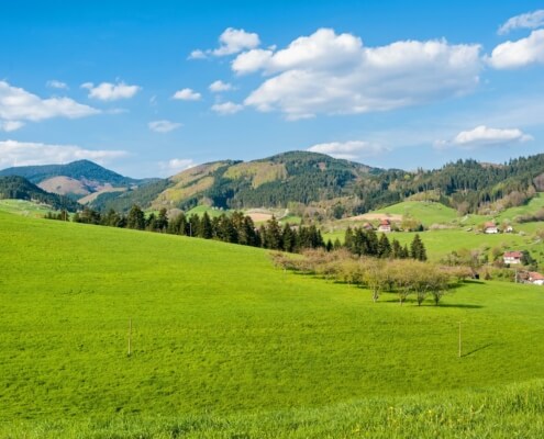Energieberatung Baden-Württemberg