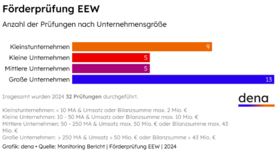 Balkengrafik zeigt Anzahl der EEW-Fördermittelprüfungen 2024 nach Unternehmensgröße mit Schwerpunkt auf große Unternehmen
