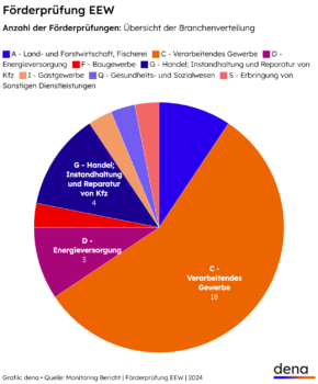 Tortengrafik zeigt Branchenverteilung der EEW-Förderprüfungen 2024 mit Schwerpunkt auf das verarbeitende Gewerbe mit 18 geprüften Projekten