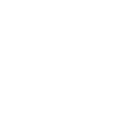awo-logo-weiss-transparent