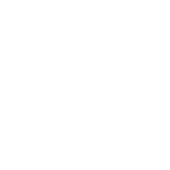 suedhausbau-logo-weiss-transparent