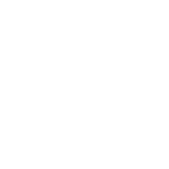 thuefleiwa-logo-weiss-transparent
