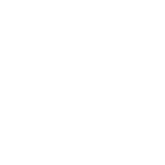 zetti-logo-weiss-transparent