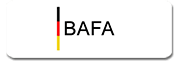 Icon BAFA-Energieberater
