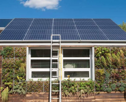 Passivhaus mit Solarzellen und mit Pflanzen beachsen