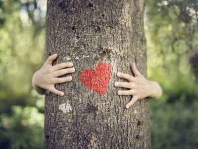 Herz auf Baum mit Umarmung