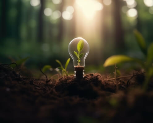 Illustration einer Glühbirne im Wald, aus der eine Grünpflanze wächst, als Symbol für nachhaltige Energieinnovationen