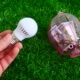LED-Lampe und Sparschwein auf Gras – Symbol für BAFA-Förderung und Energieeinsparung durch Beratung der Cornelius Ober GmbH