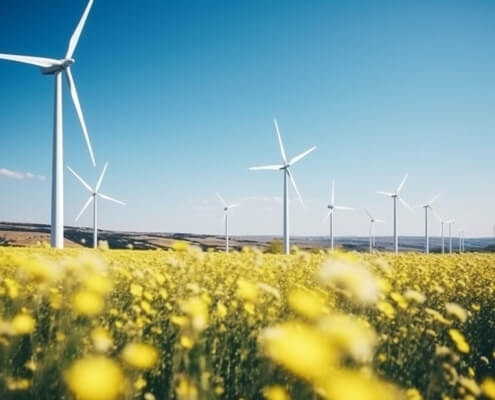 Windturbinen auf gelbem Blumenfeld symbolisieren Deutschlands Streben nach erneuerbarer Energie