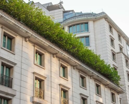 Begrünte Dachfläche eines energieeffizienten Gebäudes im Einklang mit Klimaschutzzielen